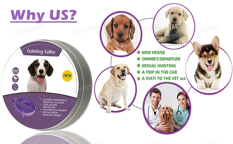 New Release Dog Calming Pheromone Collar cat Relieve Anxiety Adjustable Comfortable Collar For Puppy Kitten Large Dog Accessorie New Release Dog Calming Pheromone Collar cat Relieve Anxiety Adjustable Comfortable Collar For Puppy Kitten Large Dog Accessorie