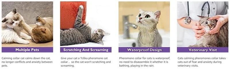 New Release Dog Calming Pheromone Collar cat Relieve Anxiety Adjustable Comfortable Collar For Puppy Kitten Large Dog Accessorie New Release Dog Calming Pheromone Collar cat Relieve Anxiety Adjustable Comfortable Collar For Puppy Kitten Large Dog Accessorie