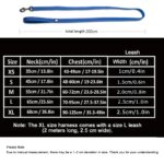 True Love Pet No Pull Adjustable Dog Harness and Leash Set for Medium & Large Dogs TLL5551 TLL2112 - Image 3