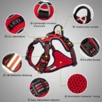 Truelove Pet Harness+Pet Leash Set Rope 110cm/200cm All-in-one Reflective Dog Harness No Pull Adjustable Buckles Dropshipping - Image 2