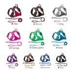 Truelove Pet Harness+Pet Leash Set Rope 110cm/200cm All-in-one Reflective Dog Harness No Pull Adjustable Buckles Dropshipping - Image 5