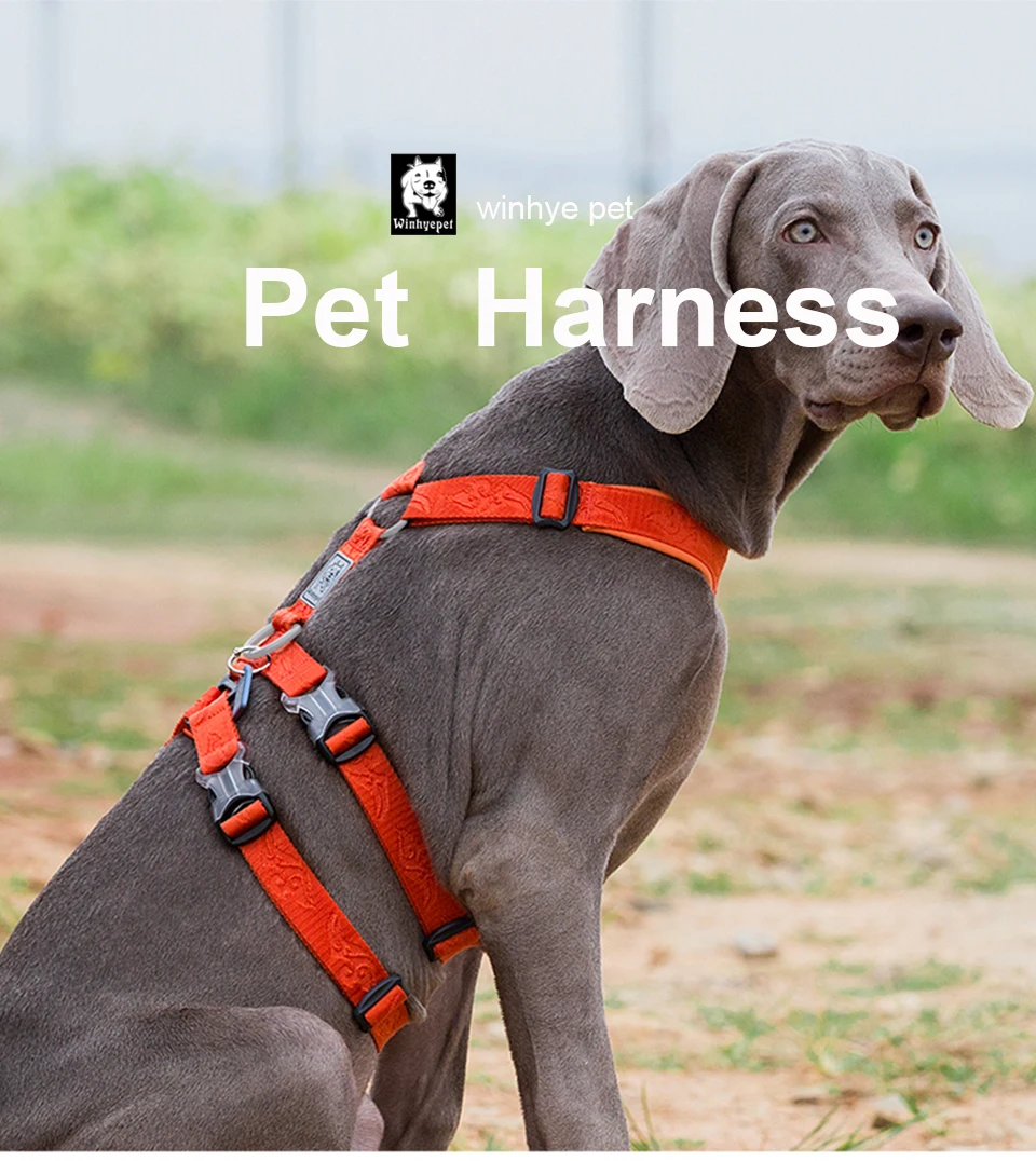 Winhyepet Dog Harness Pet Strap Adjustable Vest Triple Anti-escape Traveling Walking Pet Accessories For Small Meduim Large Dogs Winhyepet Dog Harness Pet Strap Adjustable Vest Triple Anti-escape Traveling Walking Pet Accessories For Small Meduim Large Dogs