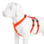 Winhyepet Dog Harness Pet Strap Adjustable Vest Triple Anti-escape Traveling Walking Pet Accessories For Small Meduim Large Dogs - Image 3