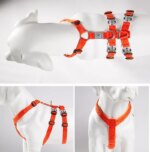 Winhyepet Dog Harness Pet Strap Adjustable Vest Triple Anti-escape Traveling Walking Pet Accessories For Small Meduim Large Dogs - Image 4