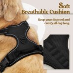 German Oak Cooling Dog Set - Escape Proof Harness Vest & Leather Collar with Anti-Chafe, Breathable for Large Dogs - Image 5