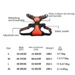 German Oak Cooling Dog Set - Escape Proof Harness Vest & Leather Collar with Anti-Chafe, Breathable for Large Dogs - Image 2