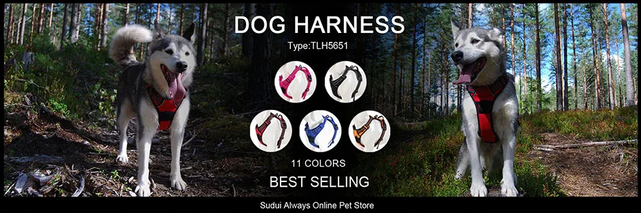 Truelove Embroider Neoprene Pet Dog Collar Nylon Adjustable Dog Collars For Big Small Dogs Running Reflective Chihuahua Bitpulls Truelove Embroider Neoprene Pet Dog Collar Nylon Adjustable Dog Collars For Big Small Dogs Running Reflective Chihuahua Bitpulls