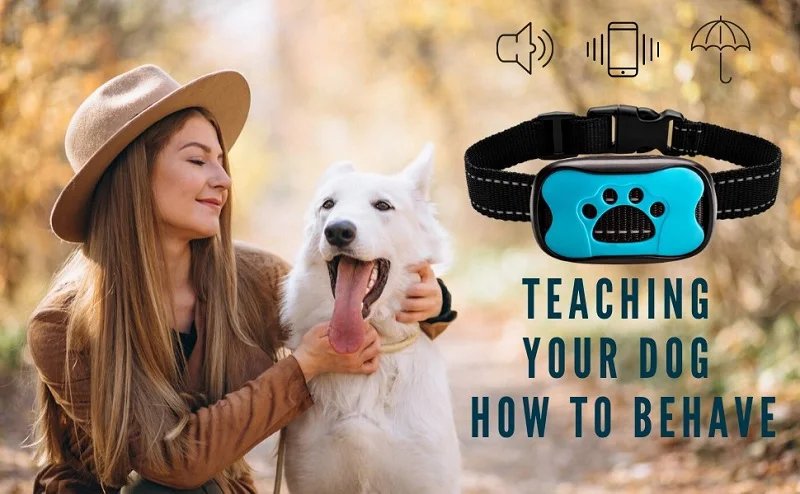 Pet Dog Anti Barking Device USB Electric Ultrasonic Dogs Training Collar Dog Stop Barking Vibration Anti Bark Collar Dropship