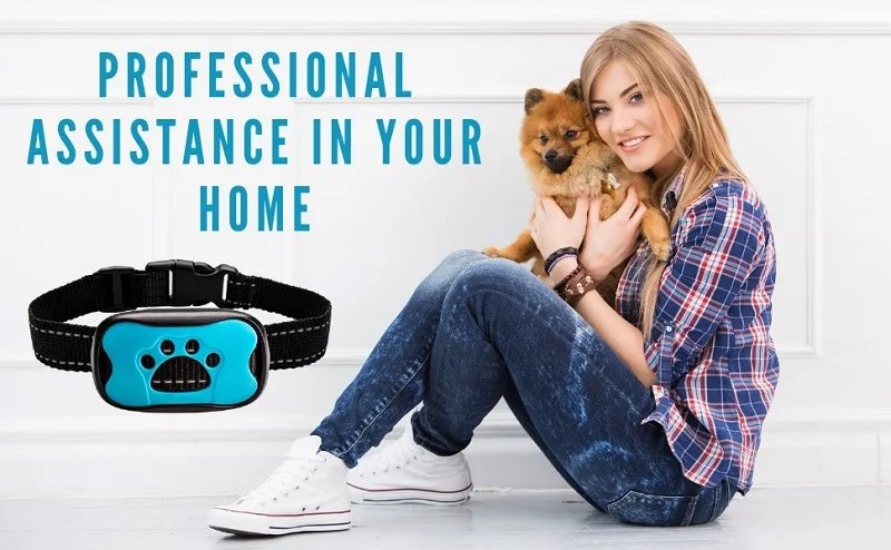 Pet Dog Anti Barking Device USB Electric Ultrasonic Dogs Training Collar Dog Stop Barking Vibration Anti Bark Collar Dropship