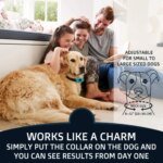 Pet Dog Anti Barking Device USB Electric Ultrasonic Dogs Training Collar Dog Stop Barking Vibration Anti Bark Collar Dropship - Image 5