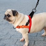 Reflective Nylon Dog Harness Adjustable Pet Dogs Training Harnesses No Pull Pet Pug Pitbull Walking Vest For Small Large Dogs - Image 5