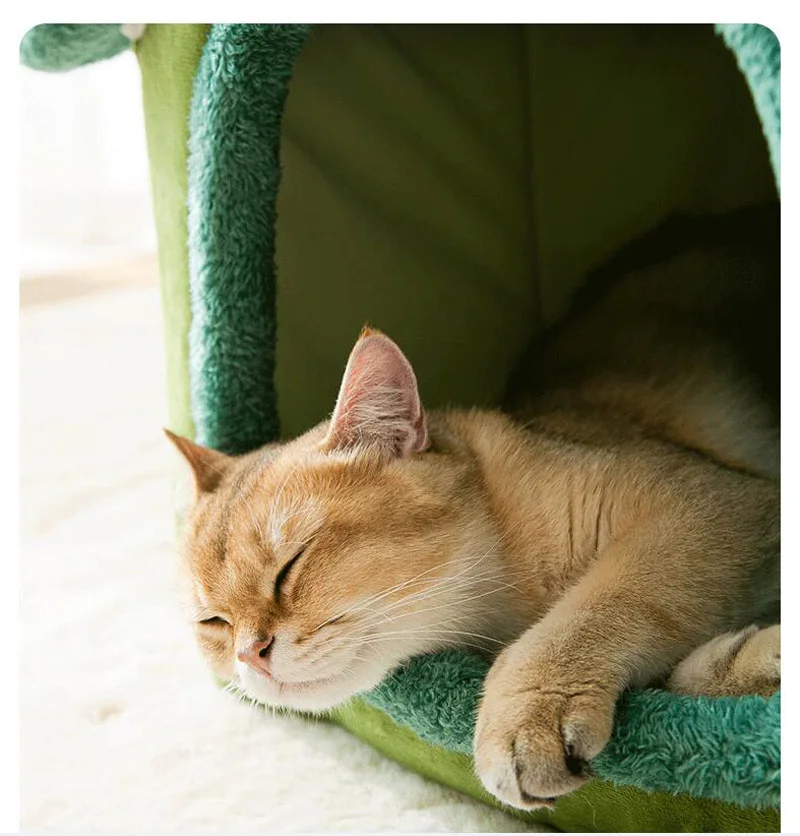 Foldable Dog House Kennel Bed Mat For Small Medium Dogs Cats Winter Warm Cat Bed Nest Pet Products Basket Pets Puppy Cave Sofa Foldable Dog House Kennel Bed Mat For Small Medium Dogs Cats Winter Warm Cat Bed Nest Pet Products Basket Pets Puppy Cave Sofa