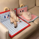 Upgraded  Dog & Cat Winter  Pet Sleep beds chic cat accessories  Anti-Slip Foldable  Multi-Function Outdoor/Indoor Dog cushion - Image 2