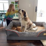 Jumbo Large Orthopedic Dog Bed Memory Foam Pet Sofa Couch Waterproof Elevated Cushion Warm Puppy Bolster Couch Removable Cover - Image 4