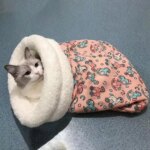 Warm Cat Sleeping Bag Fluffy Feel Thickened Winter Pet Pocket Type Quilt Bed Kitten Puppy Soft Comfortable Nest Pet Supplies - Image 4