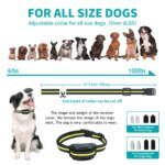 Pet Electric Dog Training Collar Remote Control 1000ft Barkproof Collars for Dogs Vibration Sound Shock Rechargeable Waterproof - Image 4