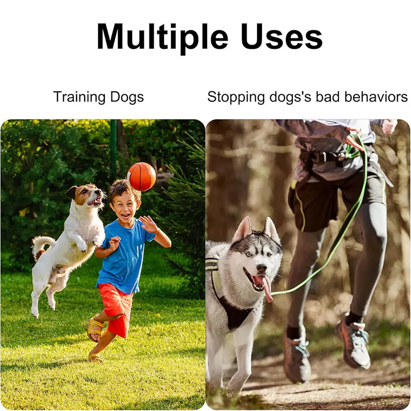 1/2Pcs Dog Whistle To Stop Barking, Adjustable Sound Pitch Dog Whistle With Keychain, Professional Recall Pet Puppy Cat Dog 1/2Pcs Dog Whistle To Stop Barking, Adjustable Sound Pitch Dog Whistle With Keychain, Professional Recall Pet Puppy Cat Dog