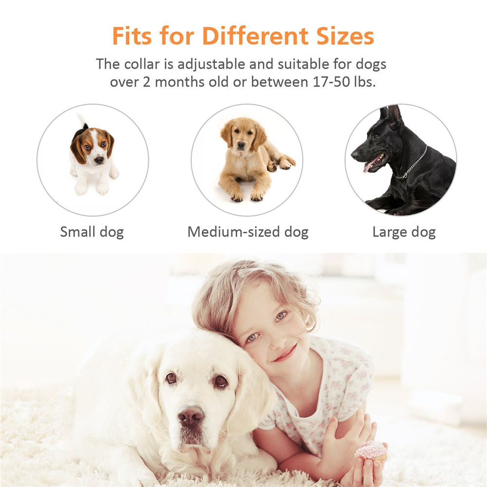 Dog Anti-Bark Collar for Large Dogs , Static Shock & Vibration Training Collar with 5 Adjustable Sensitivity Levels Beep & Shock Dog Anti-Bark Collar for Large Dogs , Static Shock & Vibration Training Collar with 5 Adjustable Sensitivity Levels Beep & Shock