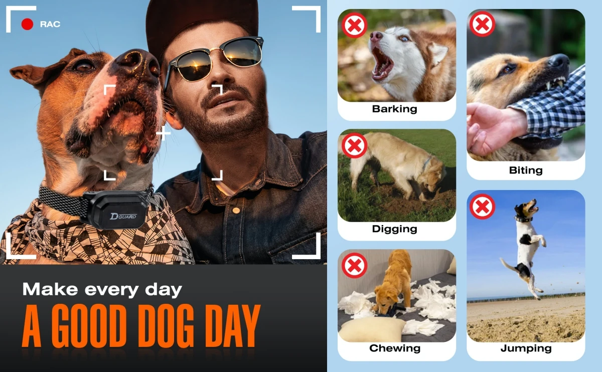 800m Digital Dog Training Collar Waterproof Rechargeable Remote Control Pet with LCD Display for All Size Shock Vibration Sound