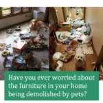 No Chew Spray Alcohol Free Dog Anti Chew Spray Non-Toxic Cats Dogs Anti-Chew Bitter Spray No Smell for Prevent Dogs Pets Chewing - Image 3