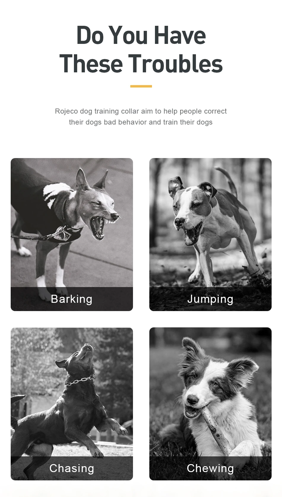 ROJECO 1000m Electric Dog Training Collar Remote Control Training Collar For Pet Rechargeable Dog Bark Control Stop Shock Collar ROJECO 1000m Electric Dog Training Collar Remote Control Training Collar For Pet Rechargeable Dog Bark Control Stop Shock Collar