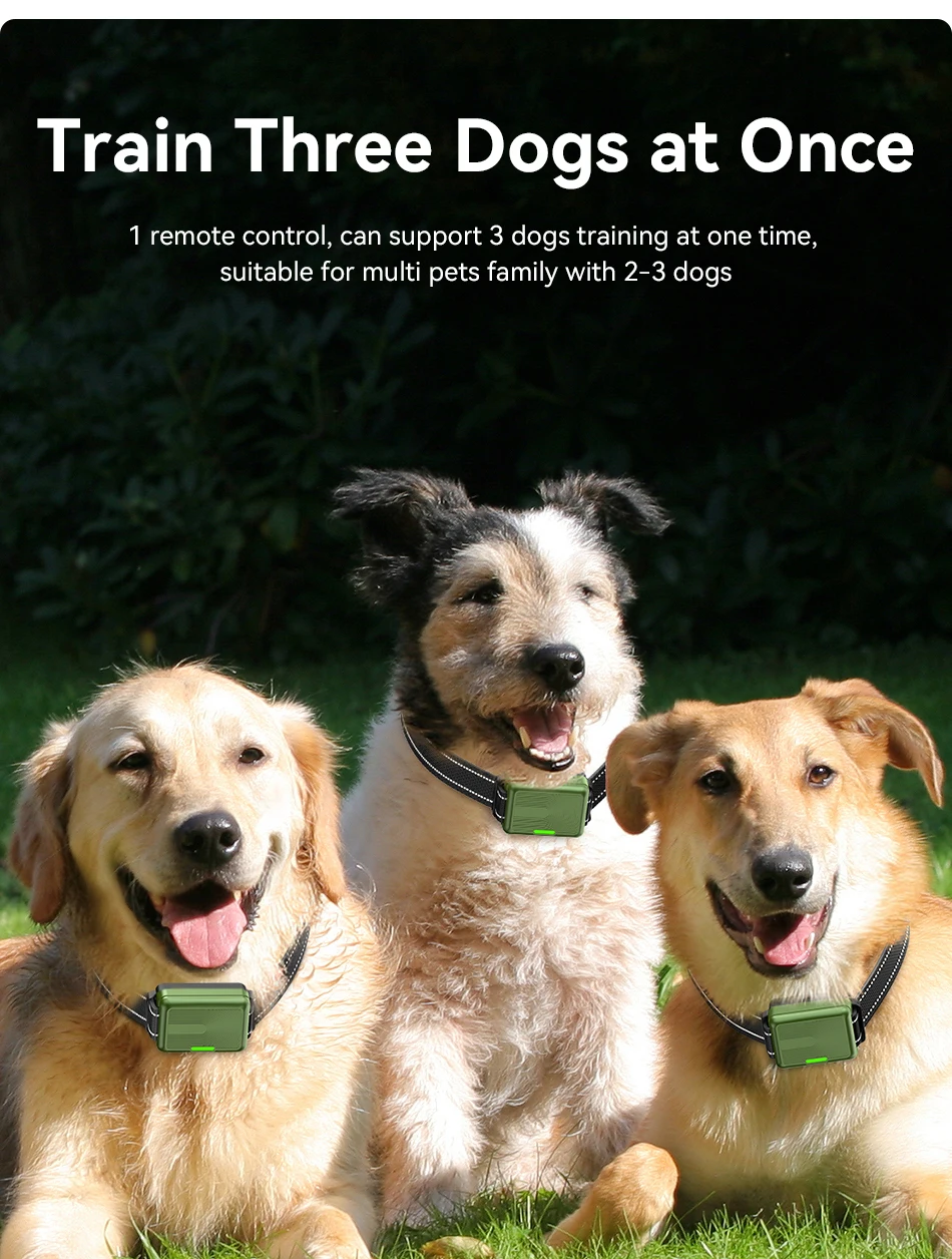 ROJECO Electric Dog Training Collar Remote Control Rechargeable Training Collar For Pet Dog Puppy Bark Control Stop Shock Collar ROJECO Electric Dog Training Collar Remote Control Rechargeable Training Collar For Pet Dog Puppy Bark Control Stop Shock Collar