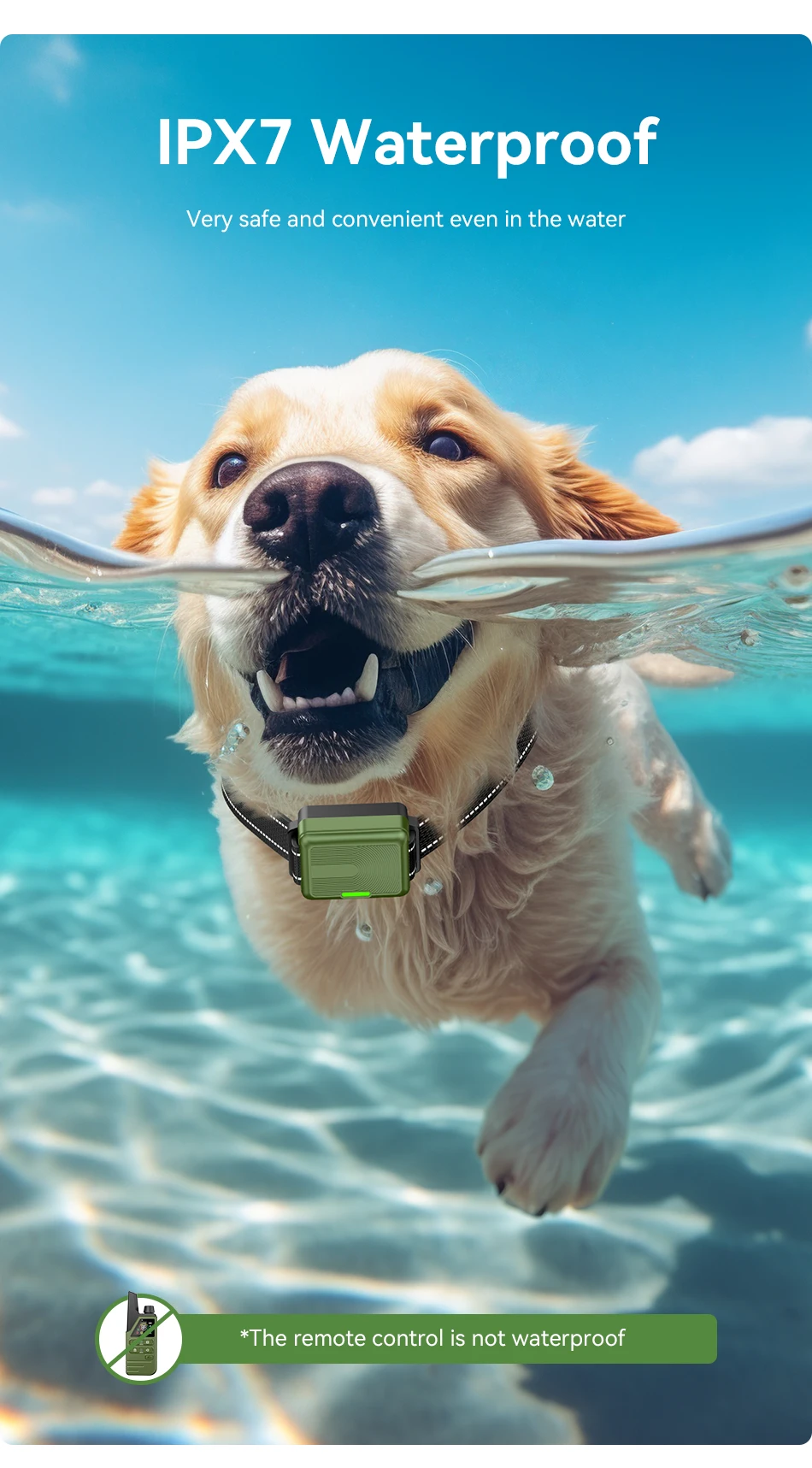 ROJECO Electric Dog Training Collar Remote Control Rechargeable Training Collar For Pet Dog Puppy Bark Control Stop Shock Collar ROJECO Electric Dog Training Collar Remote Control Rechargeable Training Collar For Pet Dog Puppy Bark Control Stop Shock Collar