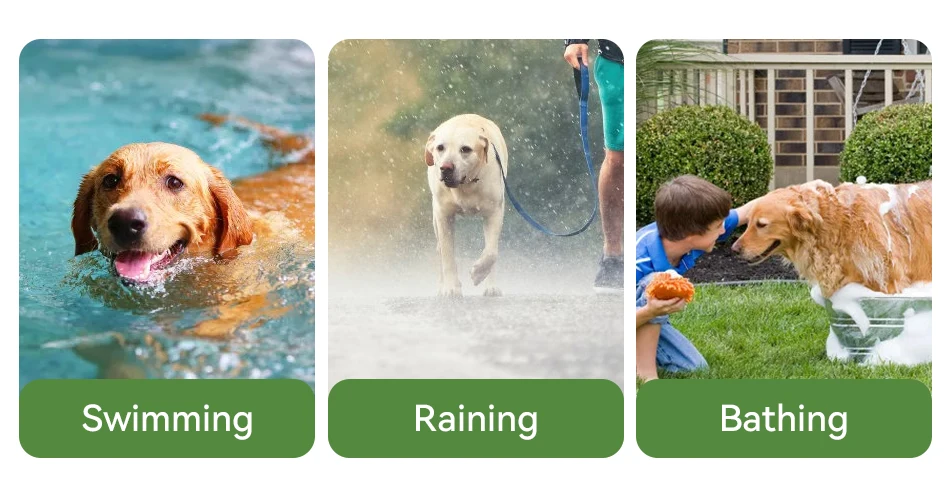 ROJECO Electric Dog Training Collar Remote Control Rechargeable Training Collar For Pet Dog Puppy Bark Control Stop Shock Collar ROJECO Electric Dog Training Collar Remote Control Rechargeable Training Collar For Pet Dog Puppy Bark Control Stop Shock Collar