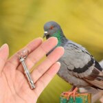 Dog Training Device Ultrasonic High-Frequency Sound Adjustable Dogs Whistle Stainless Steel Durable Pet Training Dog Whistle - Image 2