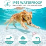 800m Digital Dog Training Collar Waterproof Rechargeable Remote Control Pet with LCD Display for All Size Shock Vibration Sound - Image 3