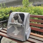 Practical, foldable cross-border pet bag. New style for cats and dogs, portable, breathable, spacious. Portable cat backpack. - Image 2