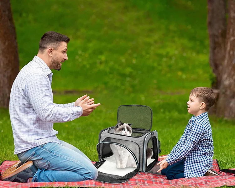 Pet Carrier Bag Foldable Small Dog Charter Carrying Cat Out Bag Expansion Pet Bag Mesh Breathable Expansion Foldable Handheld C Pet Carrier Bag Foldable Small Dog Charter Carrying Cat Out Bag Expansion Pet Bag Mesh Breathable Expansion Foldable Handheld C