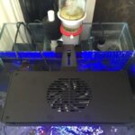 Smart Coral Light 30W 40W WiFi Full Spectrum LED Lamp for Aquarium Fish Tank Color Temperature Adjustable Intelligent Control - Image 3