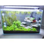 Aquarium LED Light Super Slim Fish Tank Aquatic Plant Grow Lighting Waterproof Bright Clip Lamp Blue LED 18-72cm for Plants 220v - Image 5