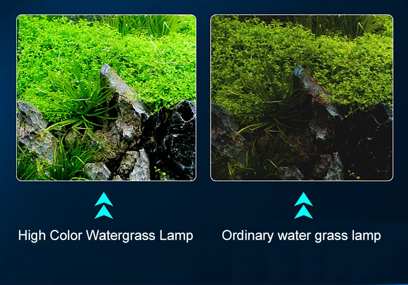 Super Bright Clip Lamp LED Aquarium Light for Aquatic Plant Grow Fish Tank Full Spectrum Timing Lamp 220-240V 30~70CM 4W 8W 13W Super Bright Clip Lamp LED Aquarium Light for Aquatic Plant Grow Fish Tank Full Spectrum Timing Lamp 220-240V 30~70CM 4W 8W 13W
