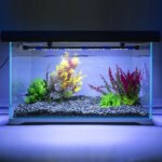 USB Aquarium Light LED Plant Grow Lamp 18-58CM Aquariums Decor Lighting Waterproof Fish Tank Light - Image 6