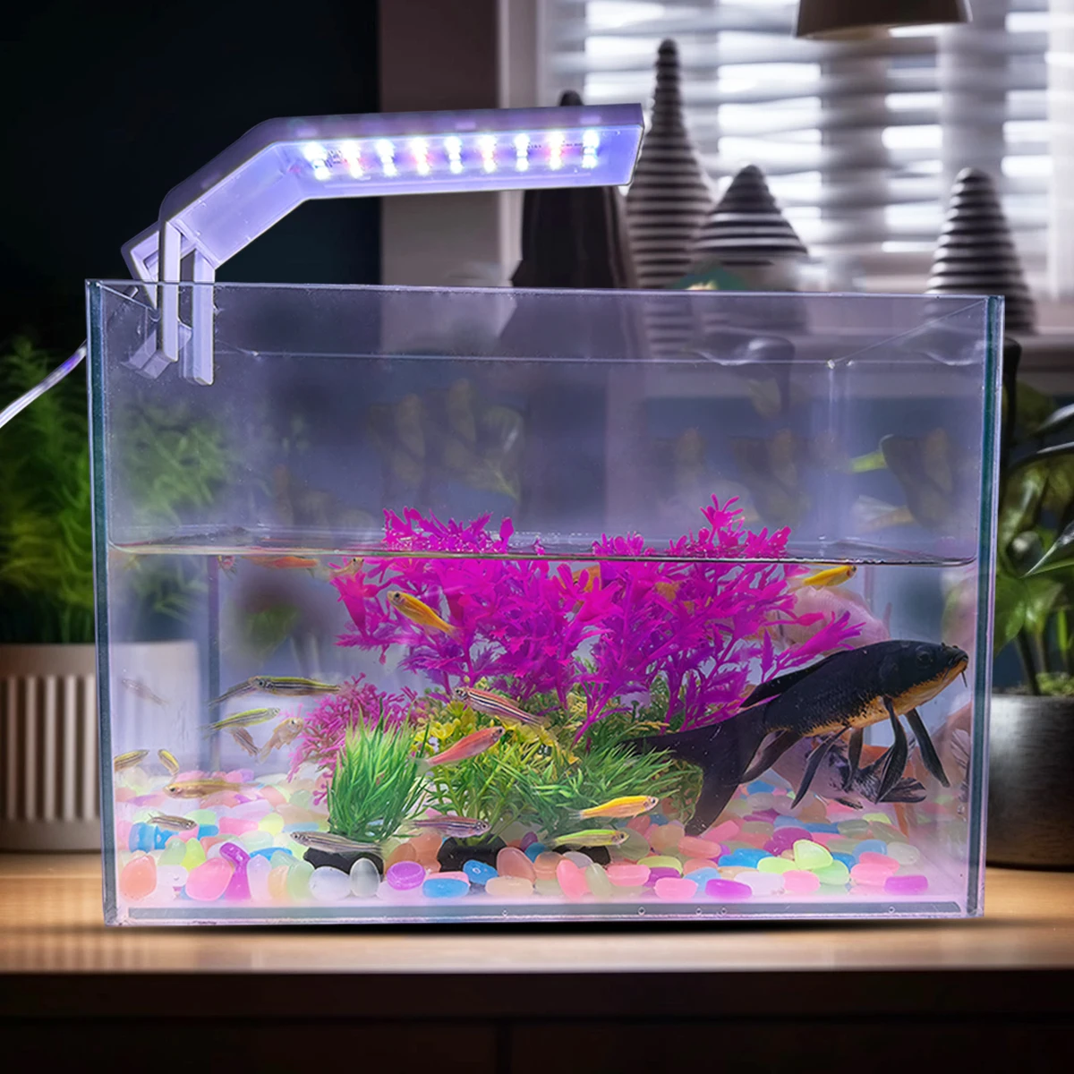 USB Fish tank light 3/9/12 Timing three kinds of color-changing LED small fish tank light water grass tank aquarium light USB Fish tank light 3/9/12 Timing three kinds of color-changing LED small fish tank light water grass tank aquarium light