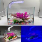 USB Fish tank light 3/9/12 Timing three kinds of color-changing LED small fish tank light water grass tank aquarium light - Image 6
