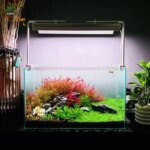 NEW Ver.3 WEEK AQUA L Series Led L600PRO K L900PRO D2 L1200PRO D2 Aquarium Plants Growing Light Fish Tank Lamp With APP Dimmer - Image 3