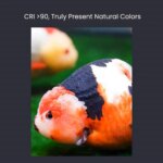 MAYIN Super Colour 100W Freshwater Goldfish Algae Bloom Planted Steam Fish Tank Brightening Lamp LED Aquarium Downlight - Image 5