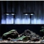 Week Aqua Aquatic Plant Light Z250 Pro RGB+UV with Lens Spotlight Full Spectrum Bracket Light Native APP Control Fish Tank Light - Image 4