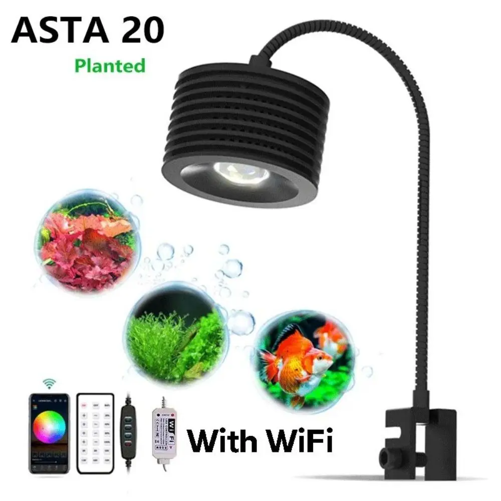 Asta20 With WIFI