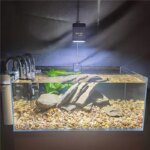 GUYU New Aquarium LED Lamp 25/35/65W Water Grass WRGB Full Spectrum Algae Downlight for Native Stream Fish Tank - Image 5
