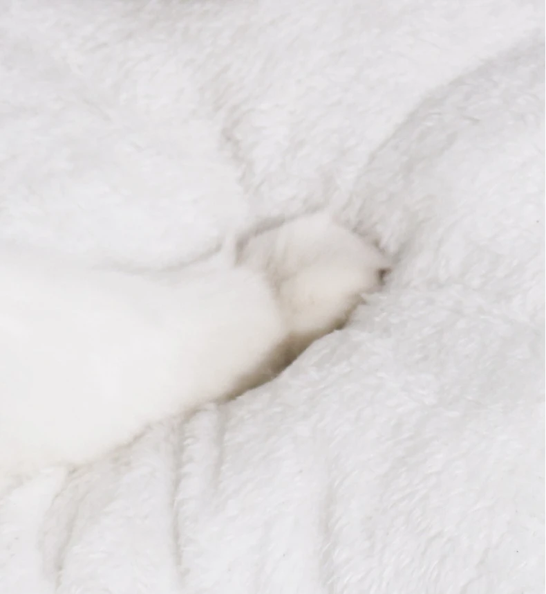 New Cute Mongolian Yurt Pet Nest Home Pet Supplies Semi Closed Panda Nest Fun Cat Playful Autumn and Winter Warm Dog Nest