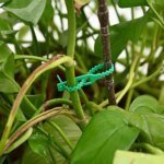 Reusable Adjustable Plastic Plant Cable Ties for Garden Vines, Trees, and Shrubs Support, Locking Nylon Zipper Organizer Tools - Image 3