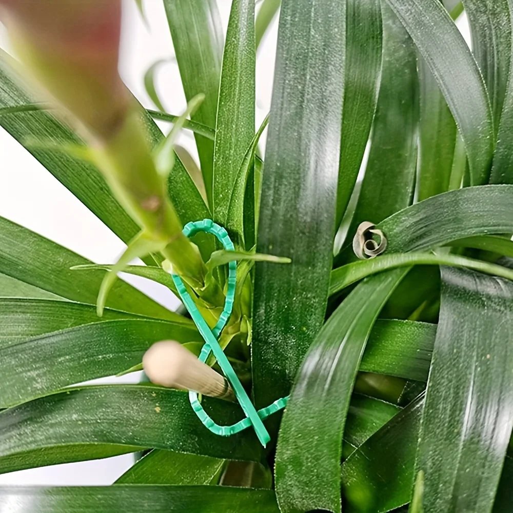 Reusable Adjustable Plastic Plant Cable Ties for Garden Vines, Trees, and Shrubs Support, Locking Nylon Zipper Organizer Tools