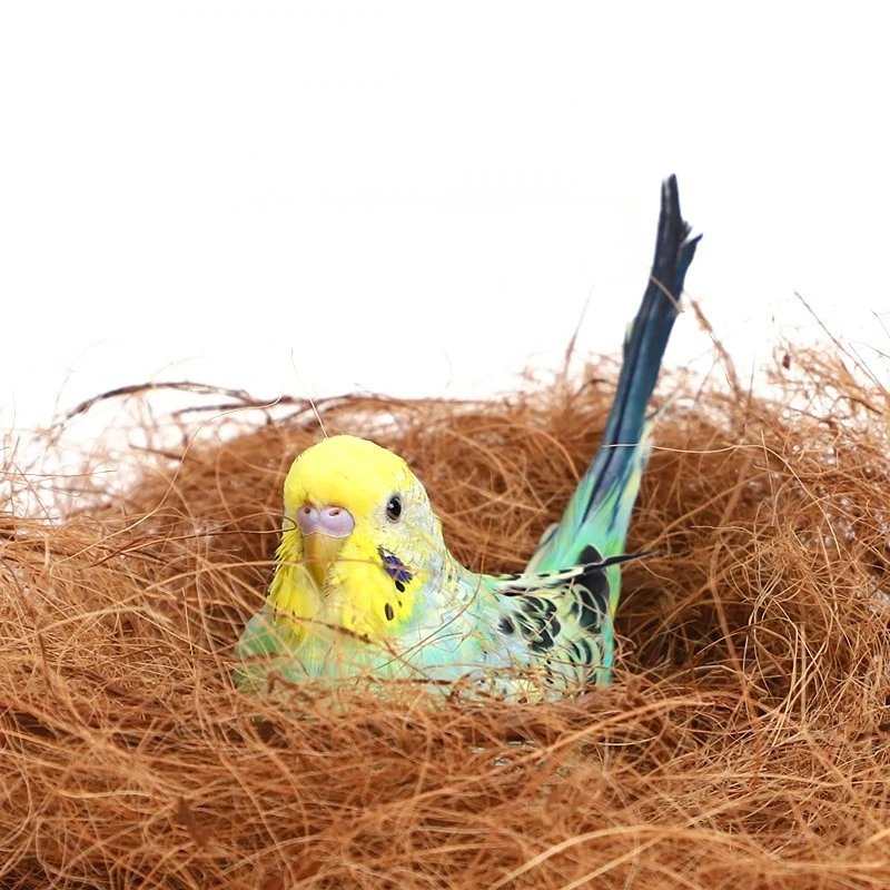 100/200g Coconut Fiber Nesting Material Nest / Fibre Aviary Birds Canaries Finches Nest Filled Grass Bird Cage Accessories