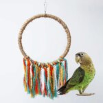 Pet Bird Parrot Toy Cotton Rope Circle Toys Chewing Bite Parrot Perch Hanging Cage Swing Rope Ring Stand Climb Toy Bird Supplies - Image 4