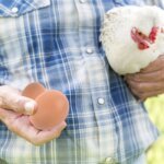 6pcs Plastic Eggs Chicken House Small Fake Eggs Farm Animal Supplies Cages Accessories Guide Chicken Nest Egg Painting - Image 3