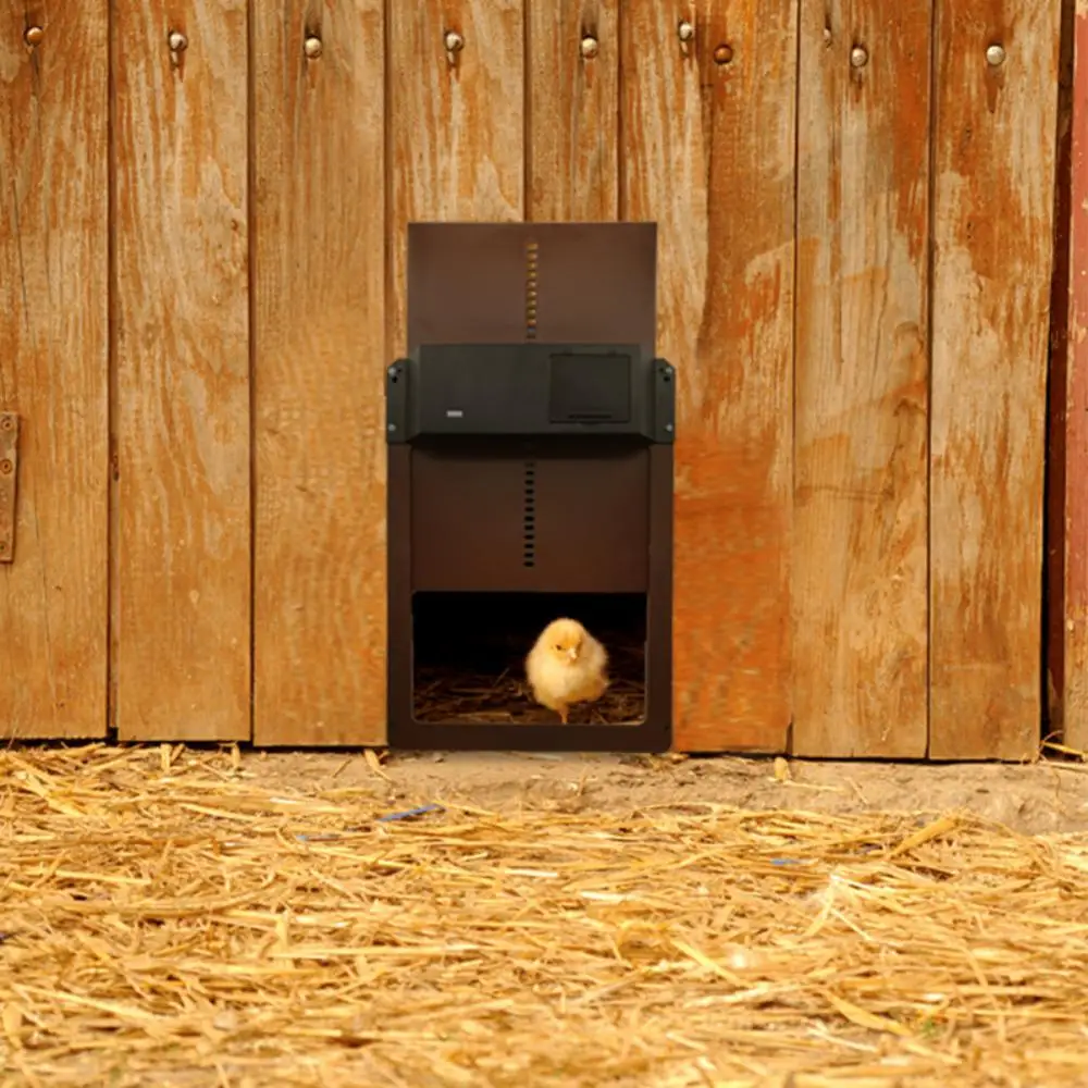 Automatic Chicken Coop Door Chicken House Door Light Sensor Farm Chicken Opener Pets Duck Cage Door Supplies Battery Powered Automatic Chicken Coop Door Chicken House Door Light Sensor Farm Chicken Opener Pets Duck Cage Door Supplies Battery Powered